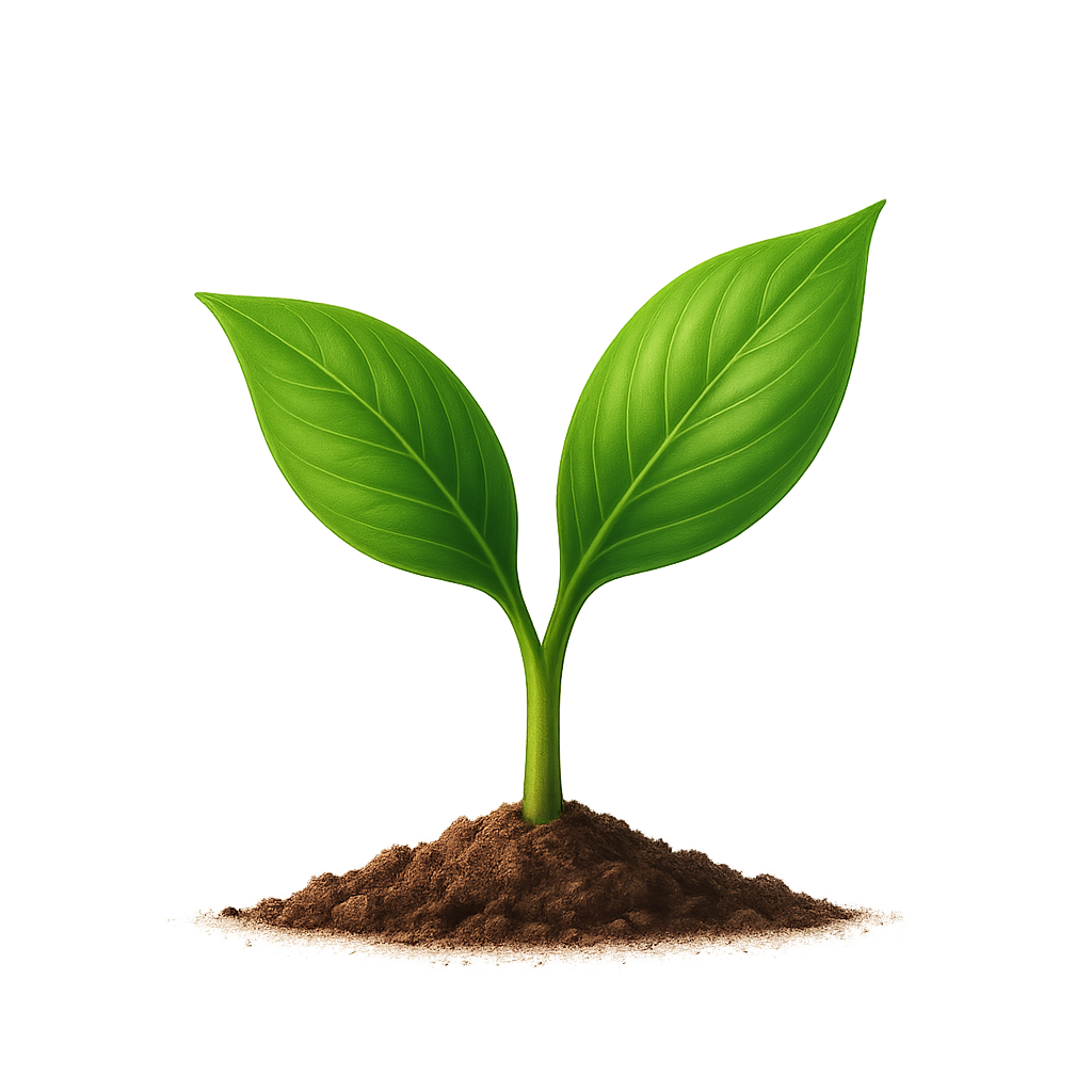 Sprout Studio Logo